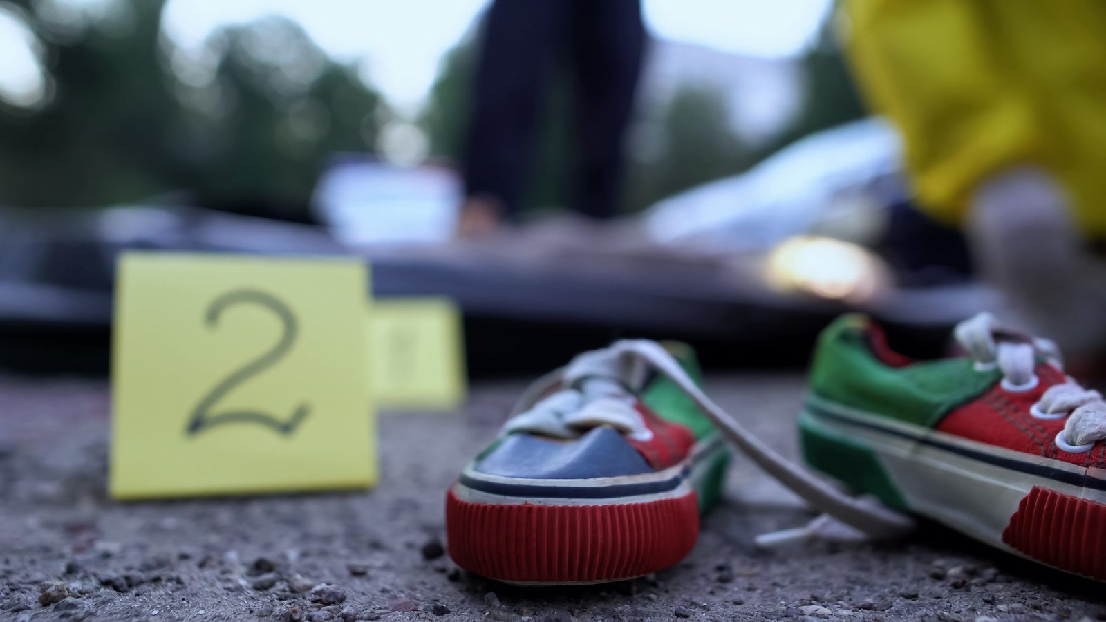 lauth case study on child abduction and international kidnapping