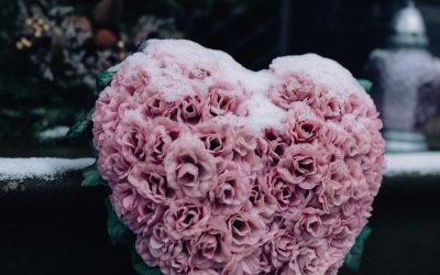 How Death Investigations Provide Evidence To Convict The Guilty And Protect The Innocent