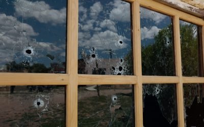 Violence and Threat Assessments: Dos and Don’ts in the Workplace to Prevent Further Damage